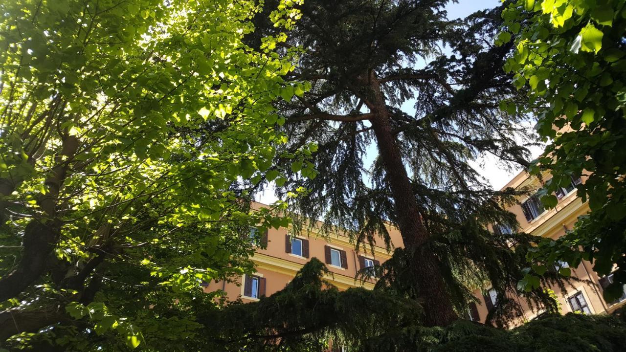 Bed & Breakfast A Casa Di Lia A Roma Zewnętrze zdjęcie
